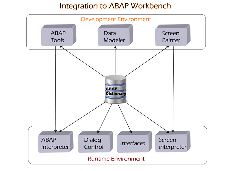 SAP ABAP Data Dictionary (SE11), 55% OFF