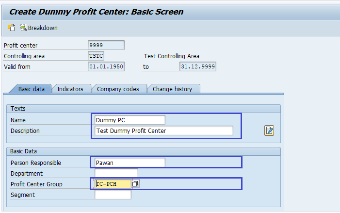 Dummy Profit Center