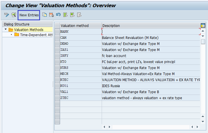 Foreign Currency Valuation