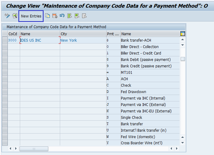 Automatic Payment Program