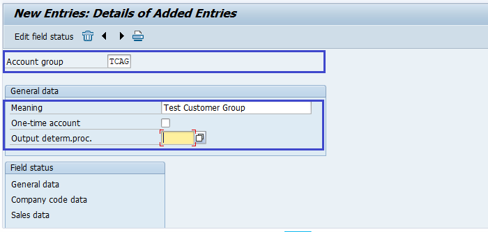 Define customer account groups