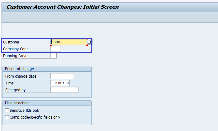 Display Customer Master Data Changes